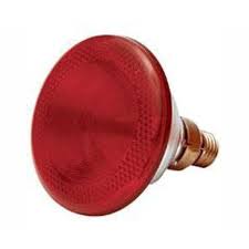175W INFRARED LAMP